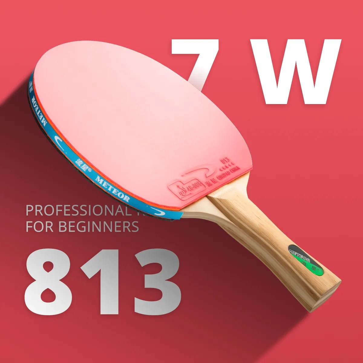 METEOR 5 Stars Professional Table Tennis Racket Chinese