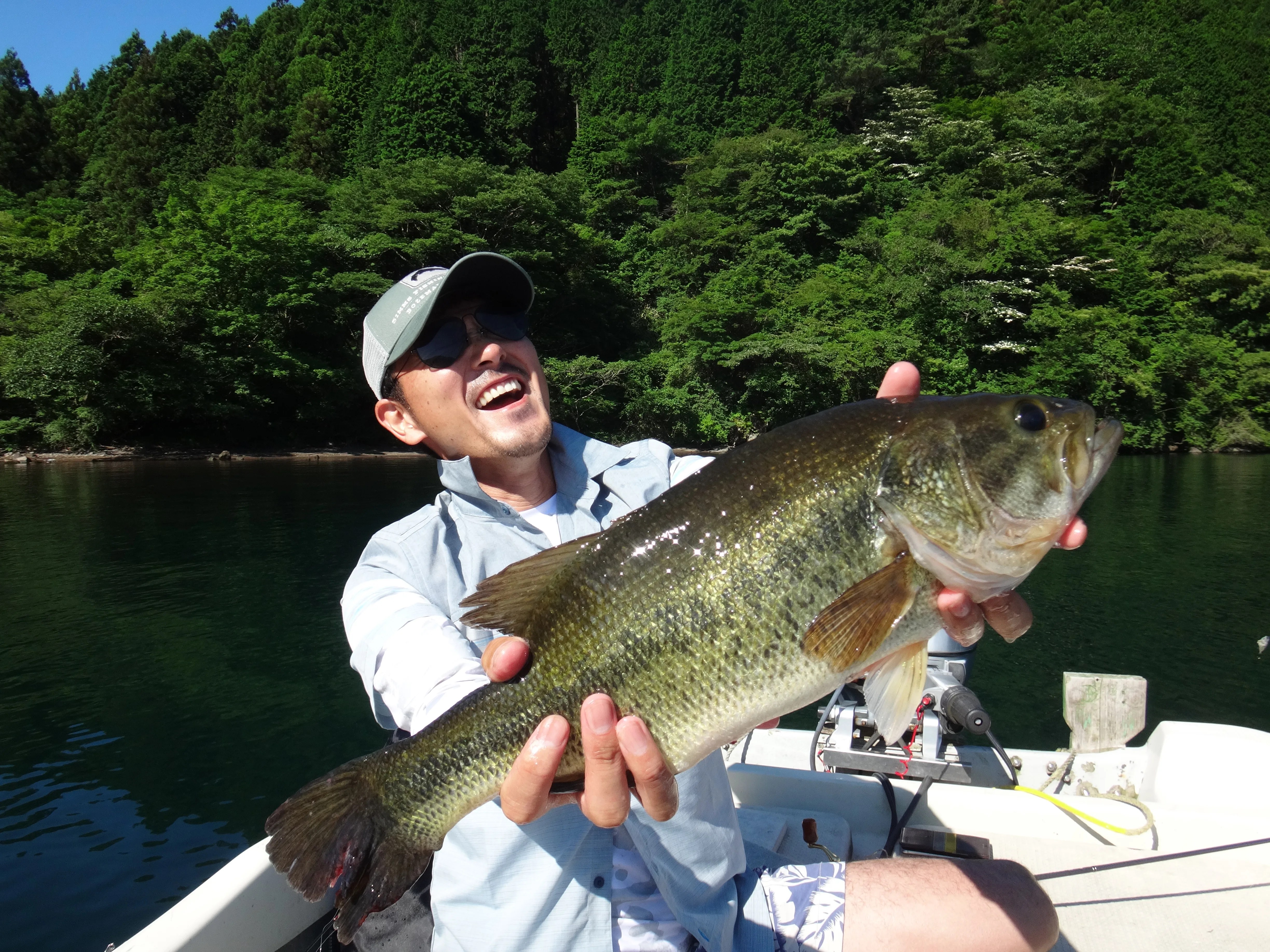 ユニーク芦ノ湖 バス釣り ブログ 魚のすべて