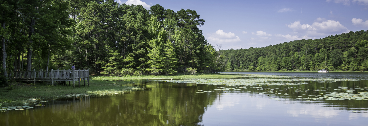 Converse Toledo Bend Lake Country