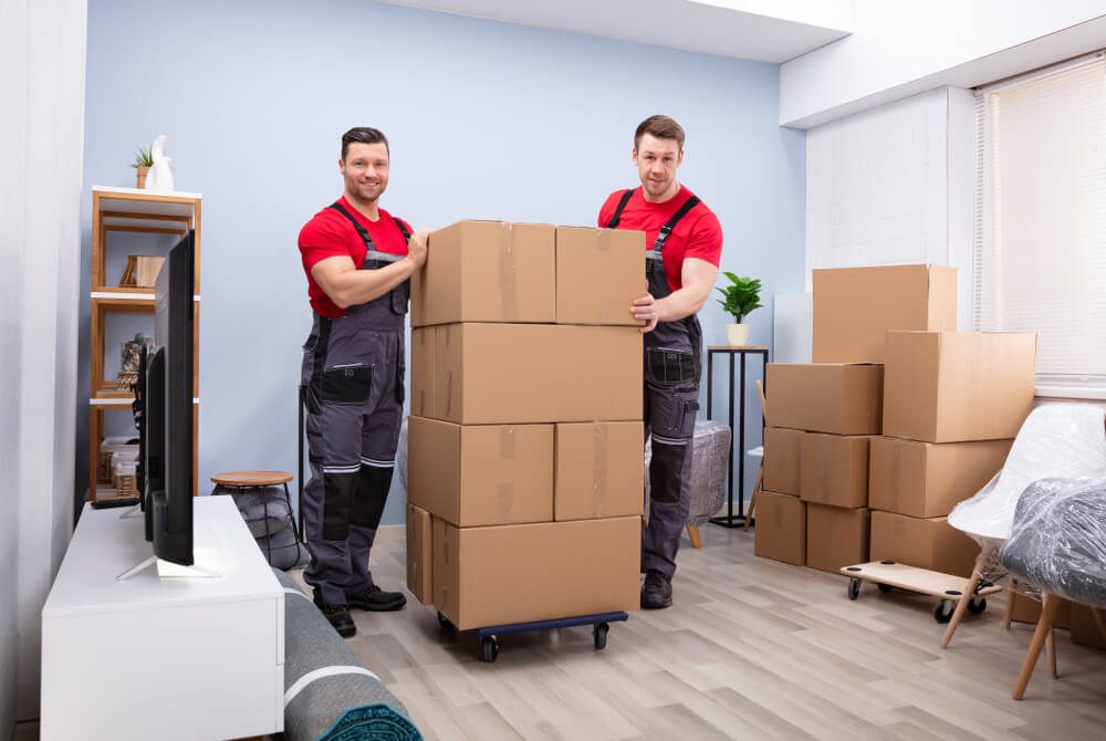 Top Moving Leads Provider for Moving Companies 2024 Taylor Online