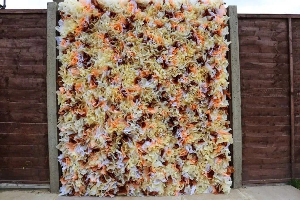 Tissue Paper Flower Wall Photo Backdrop Simple DIY Tutorial