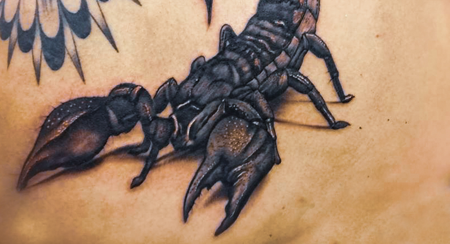 PFLEGE Tattoos aus Leidenschaft