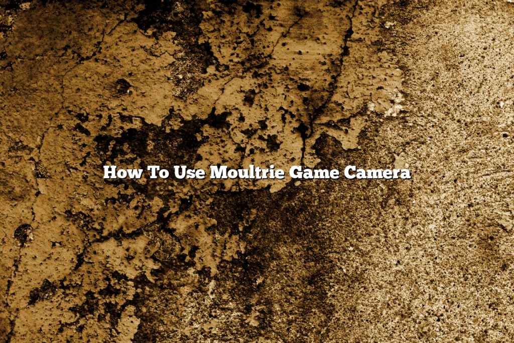 How To Use Moultrie Game Camera November 2022