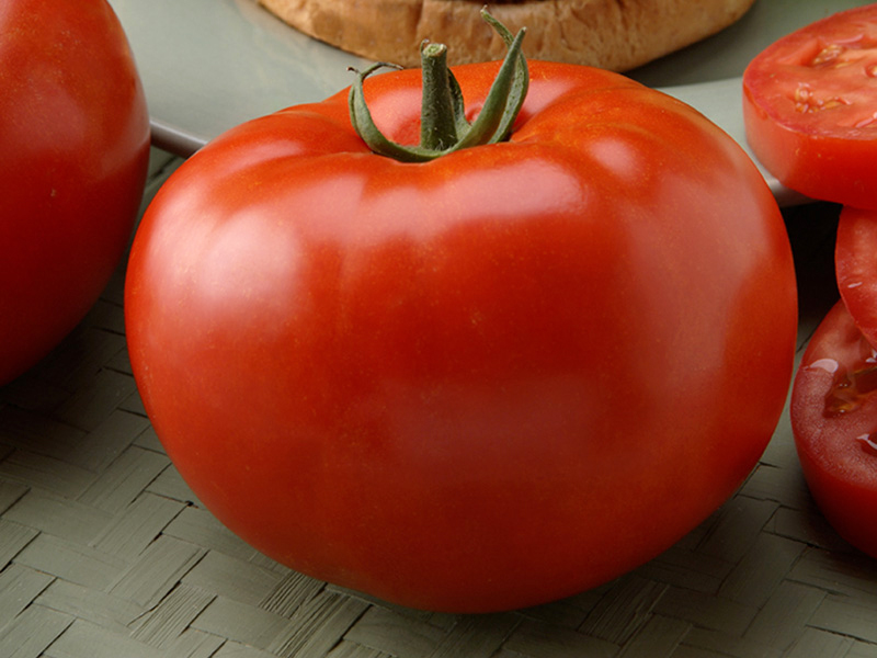 Tomato "Big Beef" f1 characteristics and description of the variety