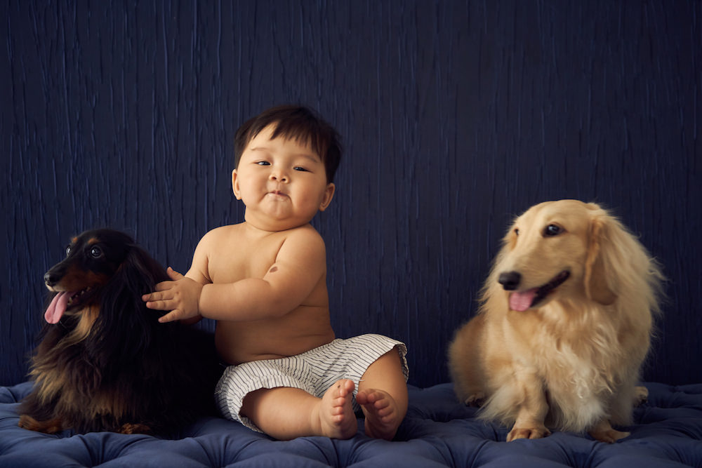 5 Reasons For Doing A Pet Family Photoshoot or Pet Photography