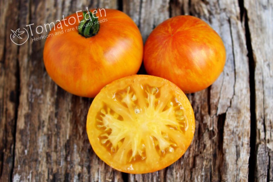 Lava Flow Heirloom Tomato Seeds TomatoEden Site