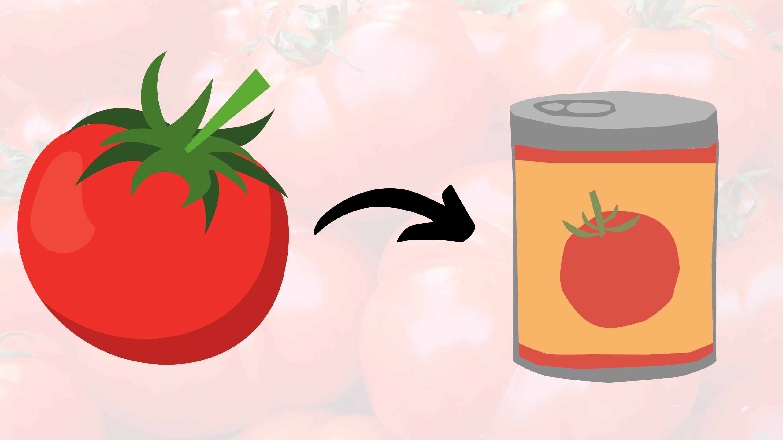 How to preserve tomatoes what you need to know Tomato Wellness