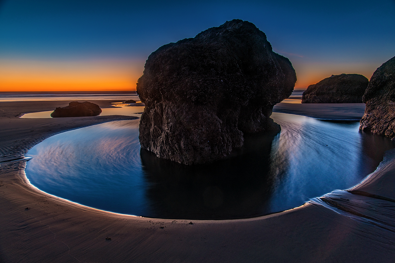 Spring Solstice 2023 Nz