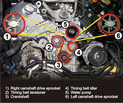 Timing Belt Boot Camp - Tom Dwyer Automotive