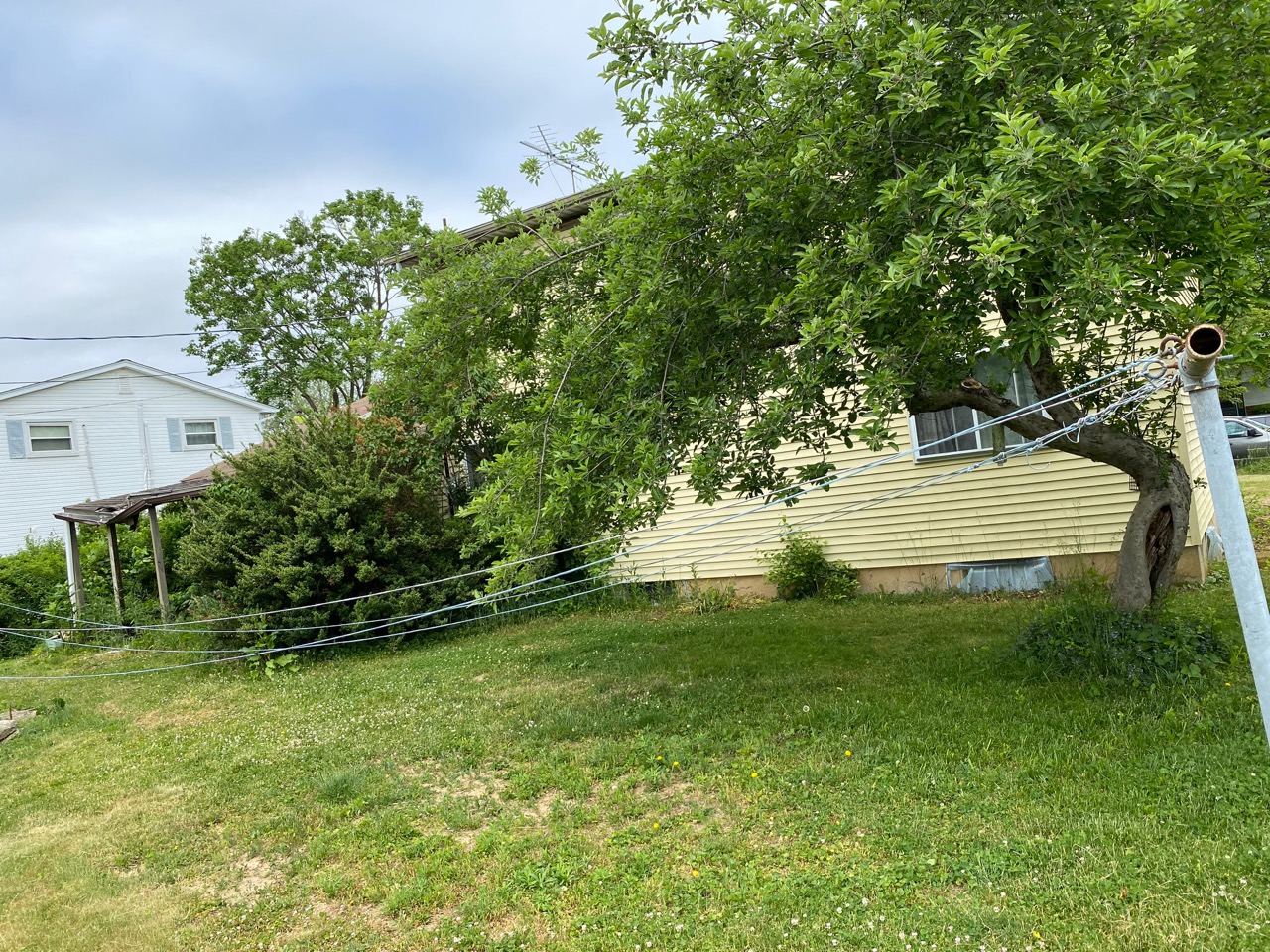 Macungie Real Estate Tom Hall Auctions, Inc.