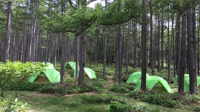 湯の丸キャンプ場 一般社団法人 信州とうみ観光協会