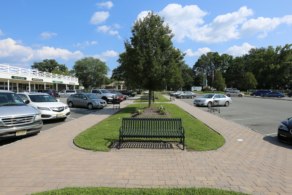 Tom Maoli Mendham Village