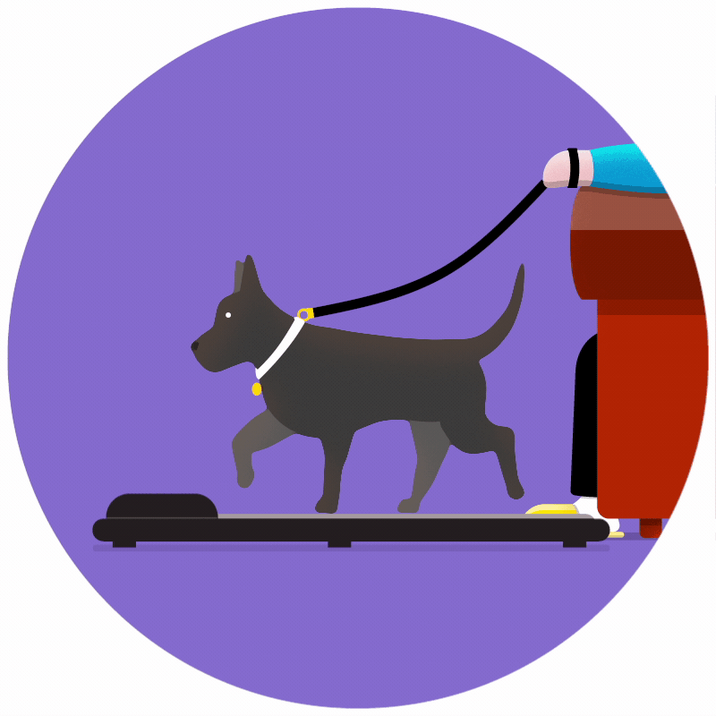 Dog Walking Tom Munday London animator