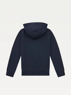 Essential Sleeve Logo Hoody BLUE Tommy Hilfiger