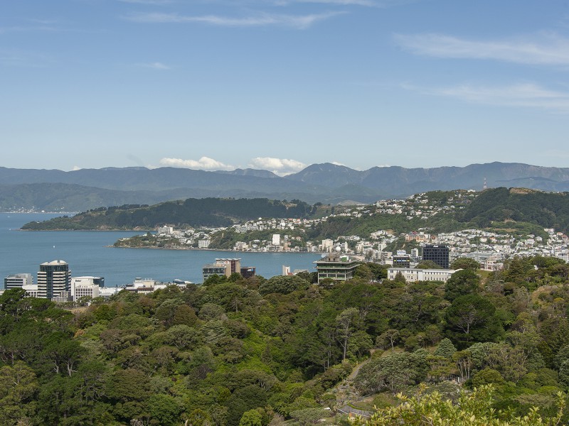 31 Seaview Terrace, Northland Wellington 6012 Tommy's Real Estate