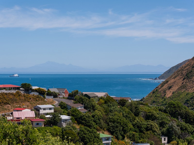 103A Severn Street, Island Bay Wellington 6023 Tommy's Real Estate