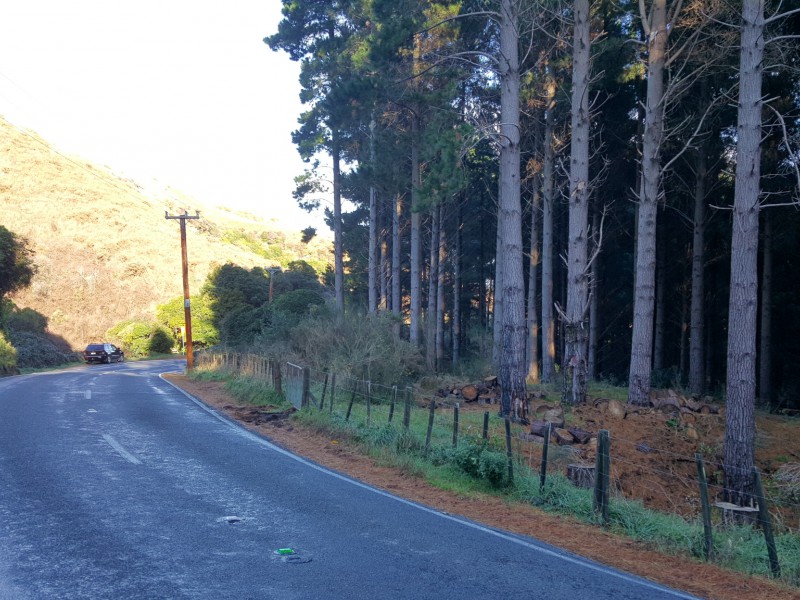 226 Ohariu Valley Road, Ohariu Valley Wellington 6037 Tommy's Real Estate