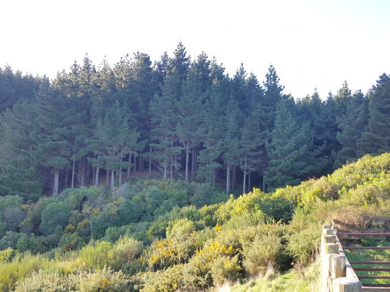 226 Ohariu Valley Road, Ohariu Valley Wellington 6037 Tommy's Real Estate