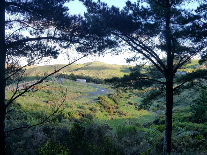 226 Ohariu Valley Road, Ohariu Valley Wellington 6037 Tommy's Real Estate