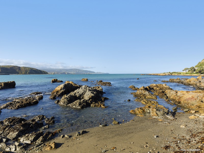 277 Queens Drive, Lyall Bay Wellington 6022 Tommy's Real Estate