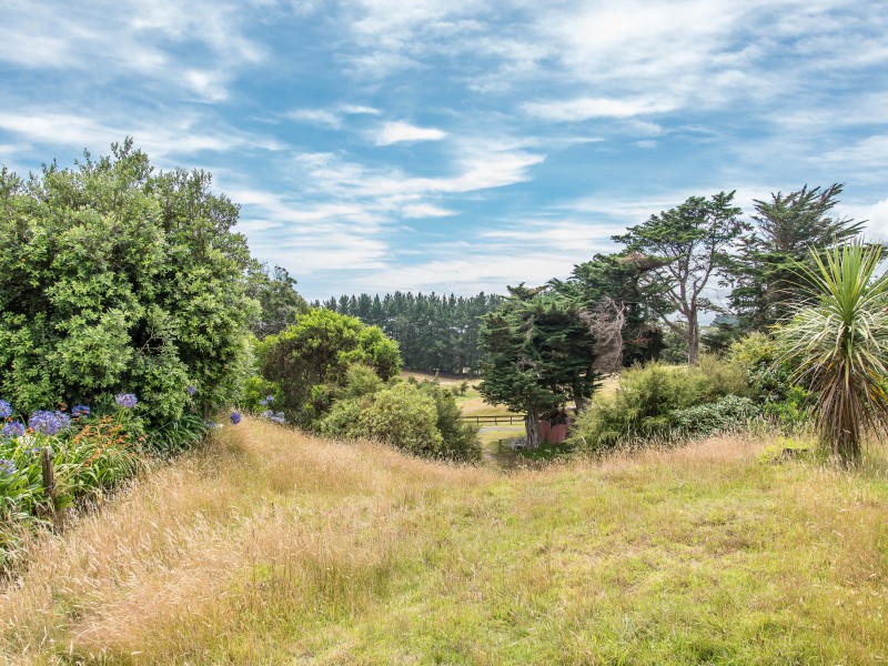 176 Te Hapua Road, Te Horo Kapiti Coast 5581 Tommy's Real Estate