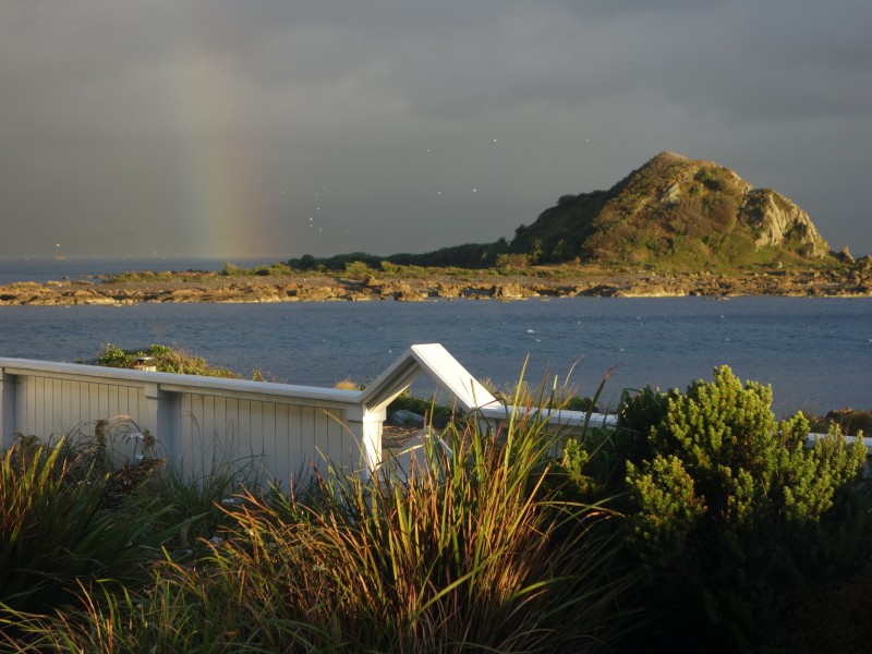 336 The Esplanade, Island Bay Wellington 6023 Tommy's Real Estate