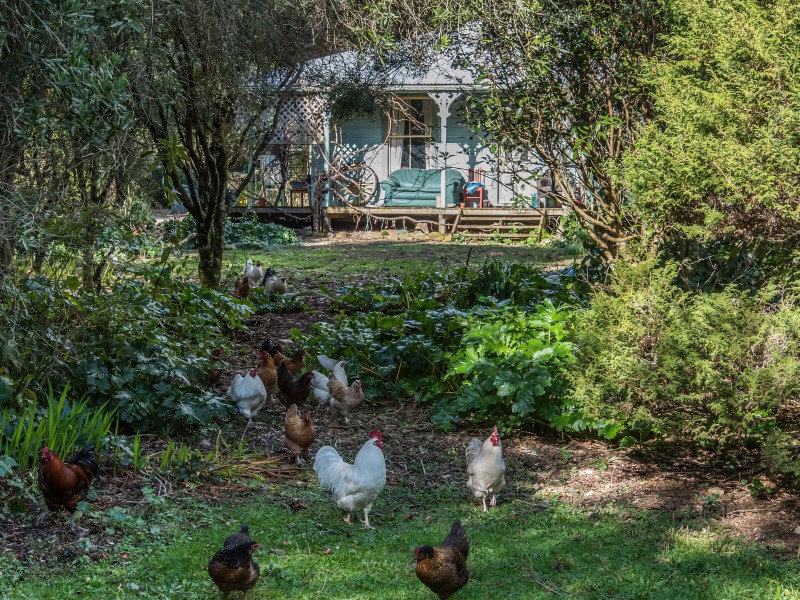 108 Ngatiawa Road, Reikorangi Kapiti Coast 5391 Tommy's Real Estate