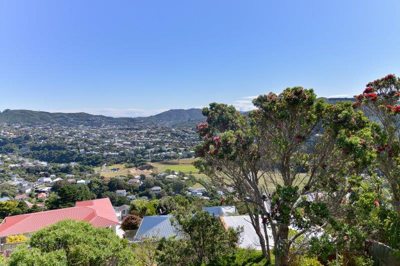 157 Orangi Kaupapa Road, Northland Wellington 6012 Tommy's Real Estate