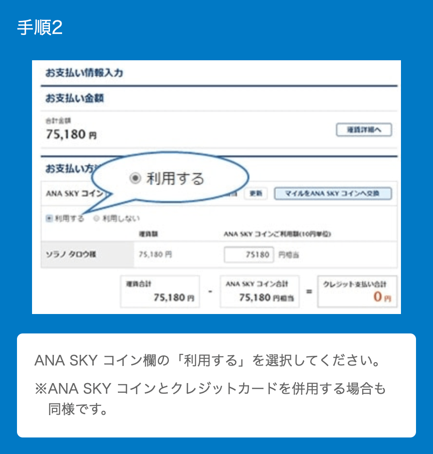 知って得する便利なANAスカイコインの使い方【旅行】