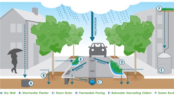 How Cities Are Incorporating Green Infrastructure To Help With Storm