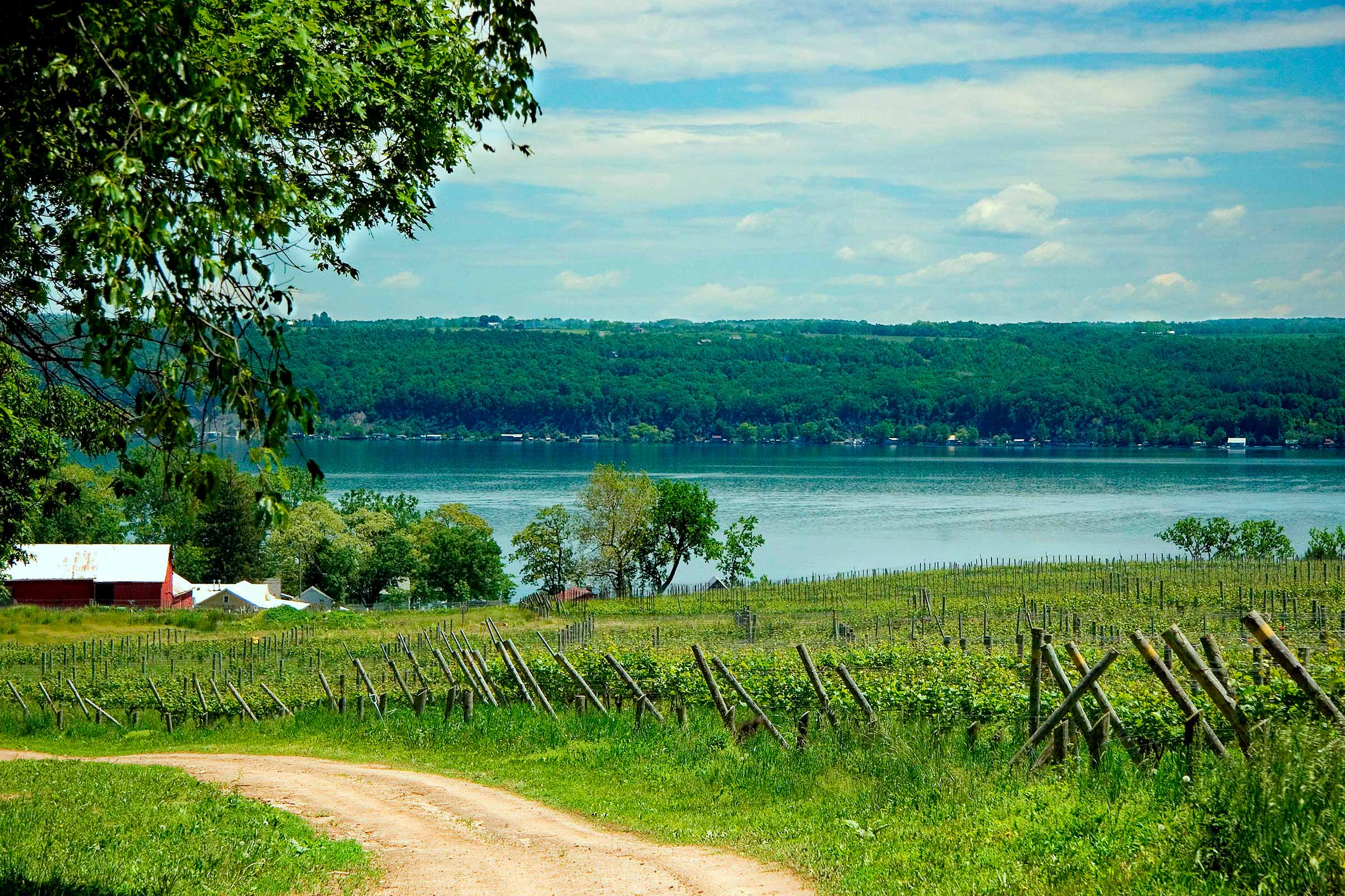 Home Wednesdays Tompkins County Chamber of Commerce