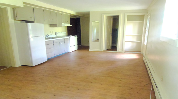 Dryden Apartment 8 Library Street, Dryden, NY, 13053