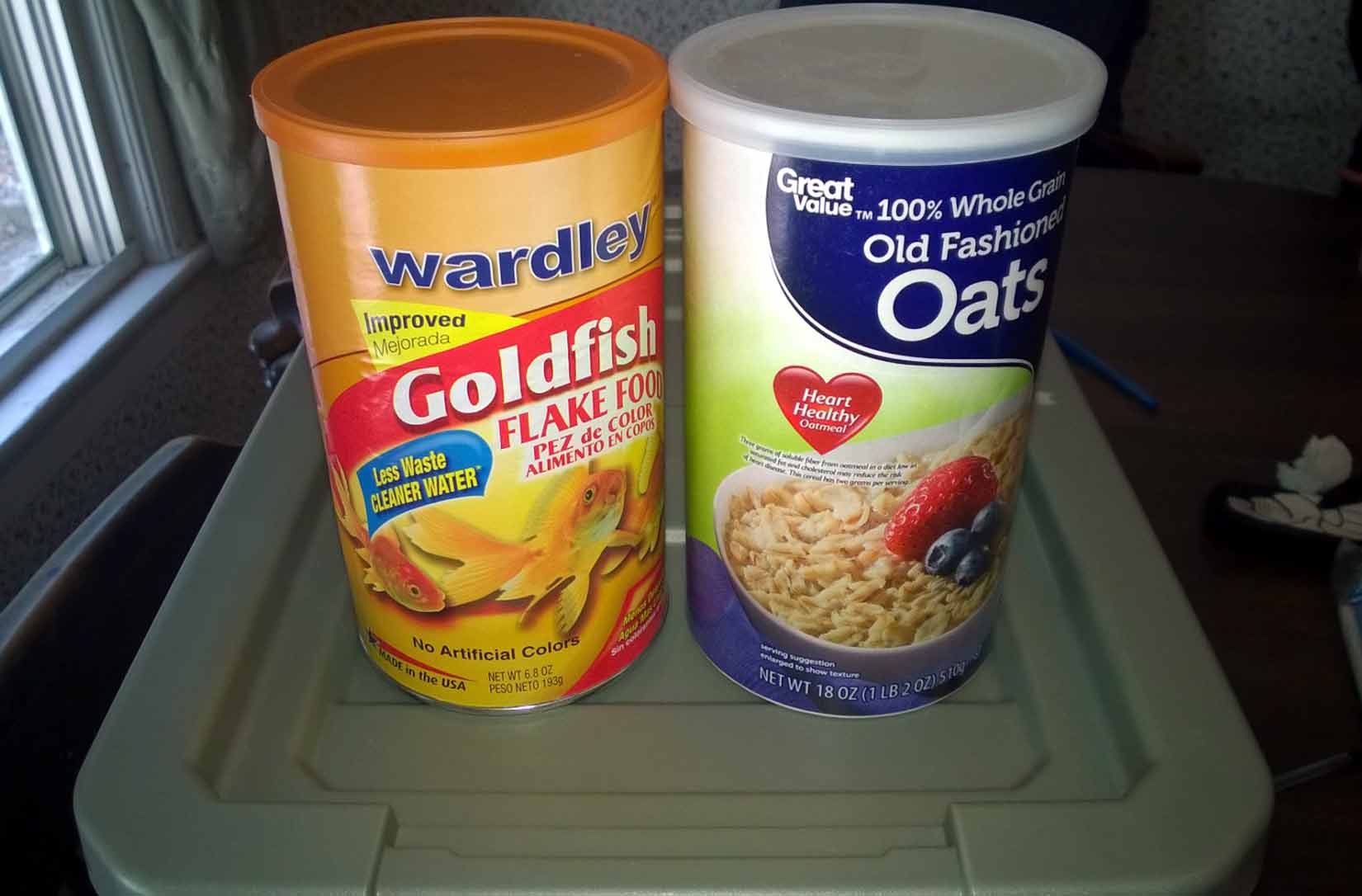 Custom Dubia Roach Enclosure and Care Tom's Big Spiders