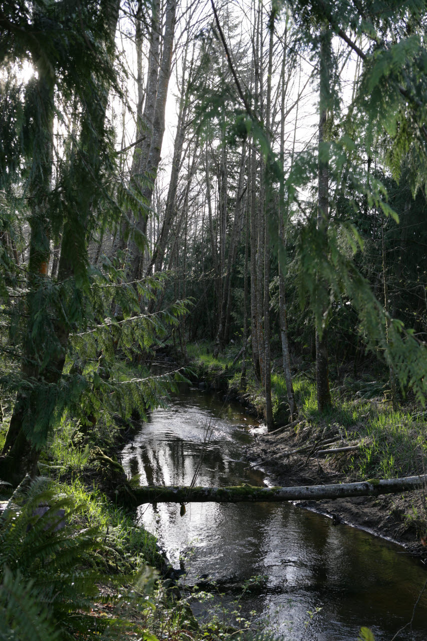 _2006_04_Montesano Image Gallery