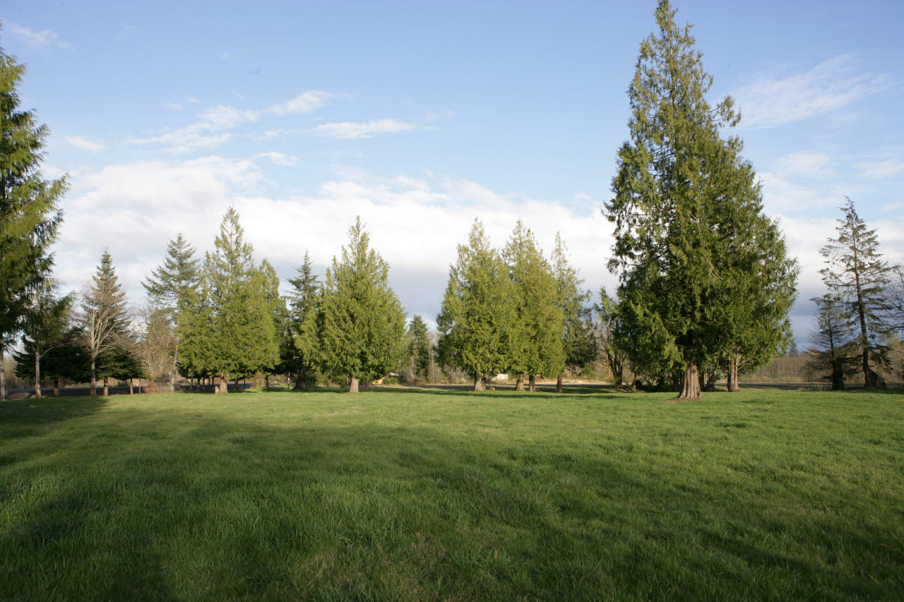 _2006_04_Montesano Image Gallery