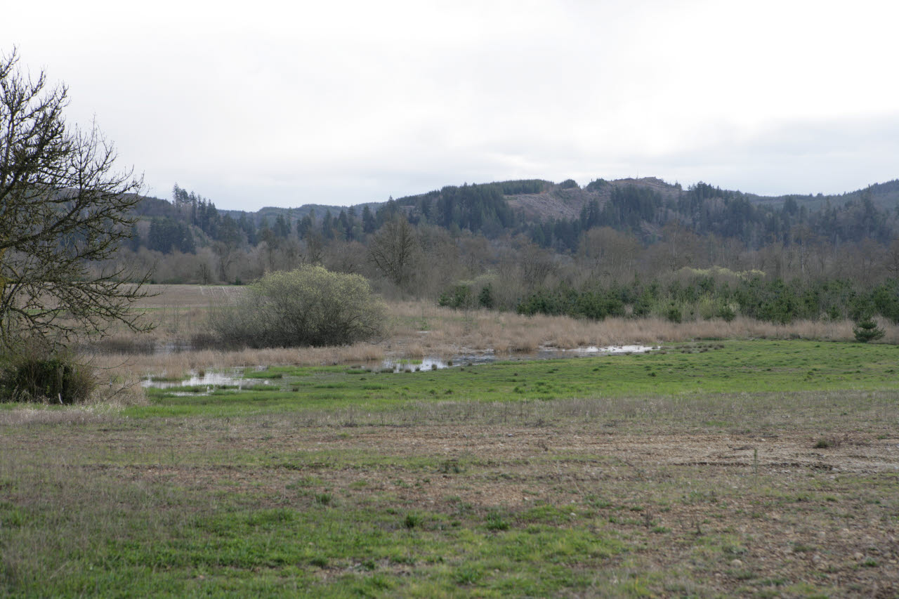 _2006_04_Montesano Image Gallery