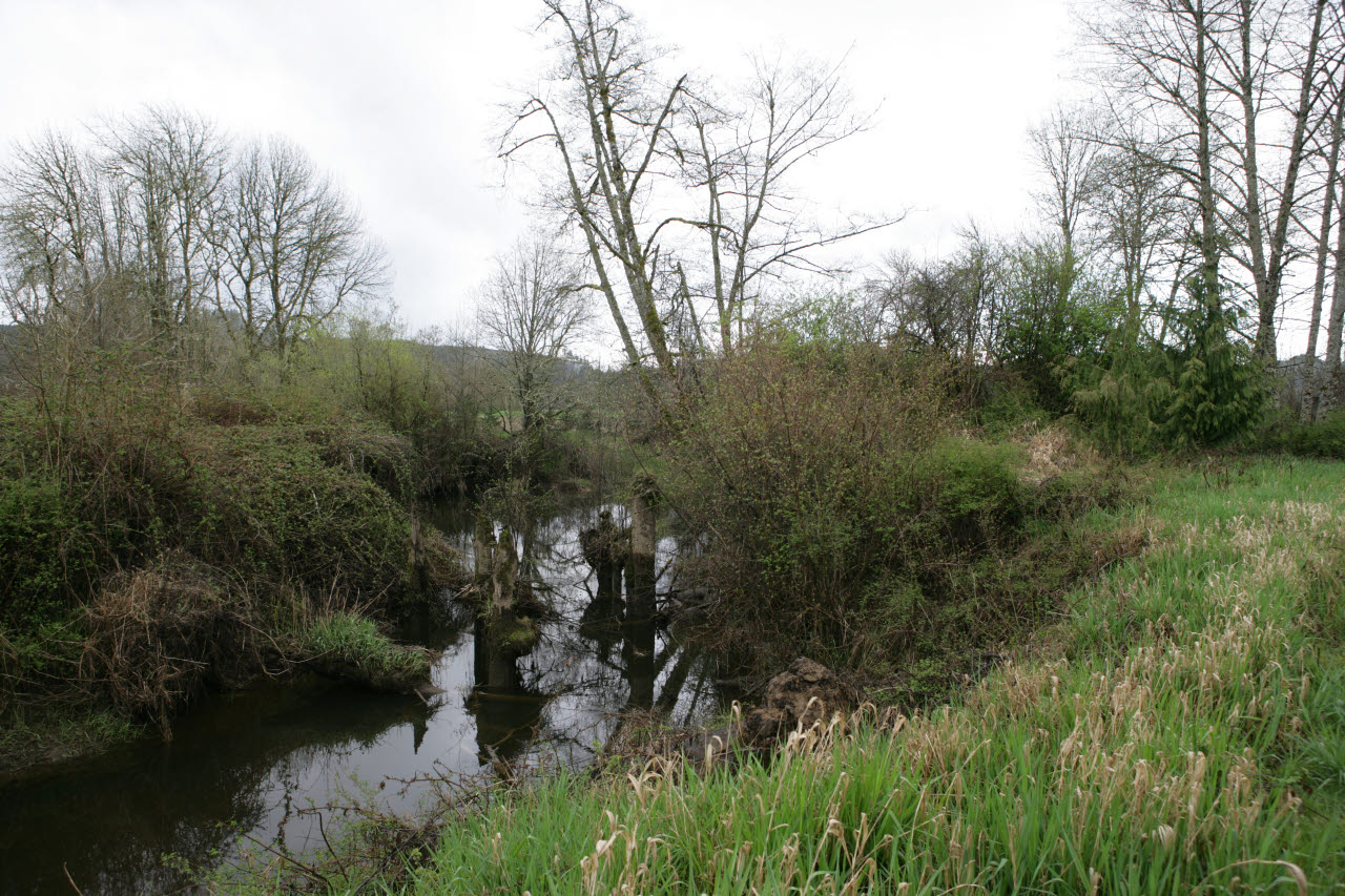 _2006_04_Montesano Image Gallery