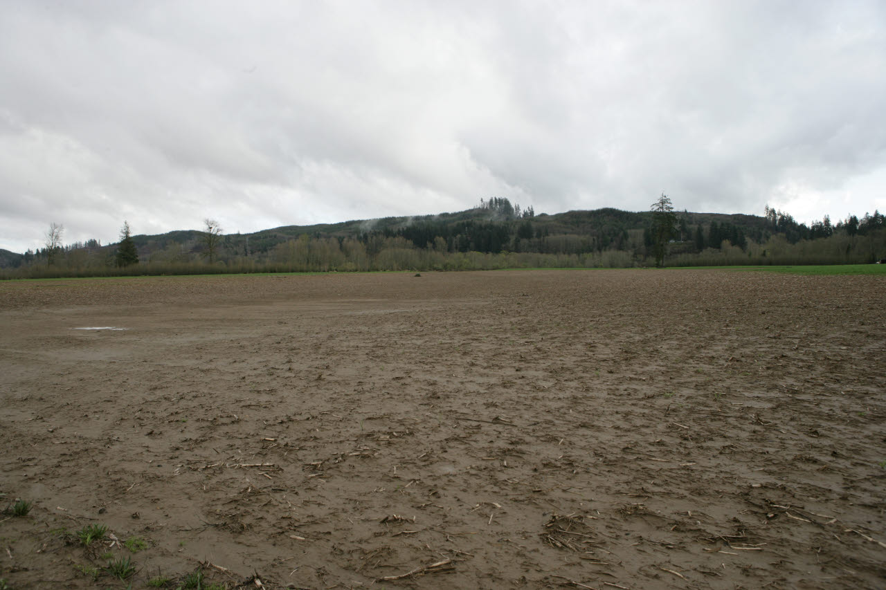 _2006_04_Montesano Image Gallery