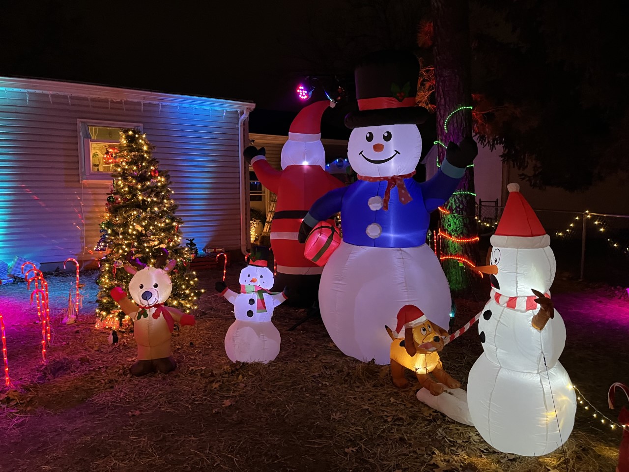 Watch Video of Holiday Light Walkthrough in Brick