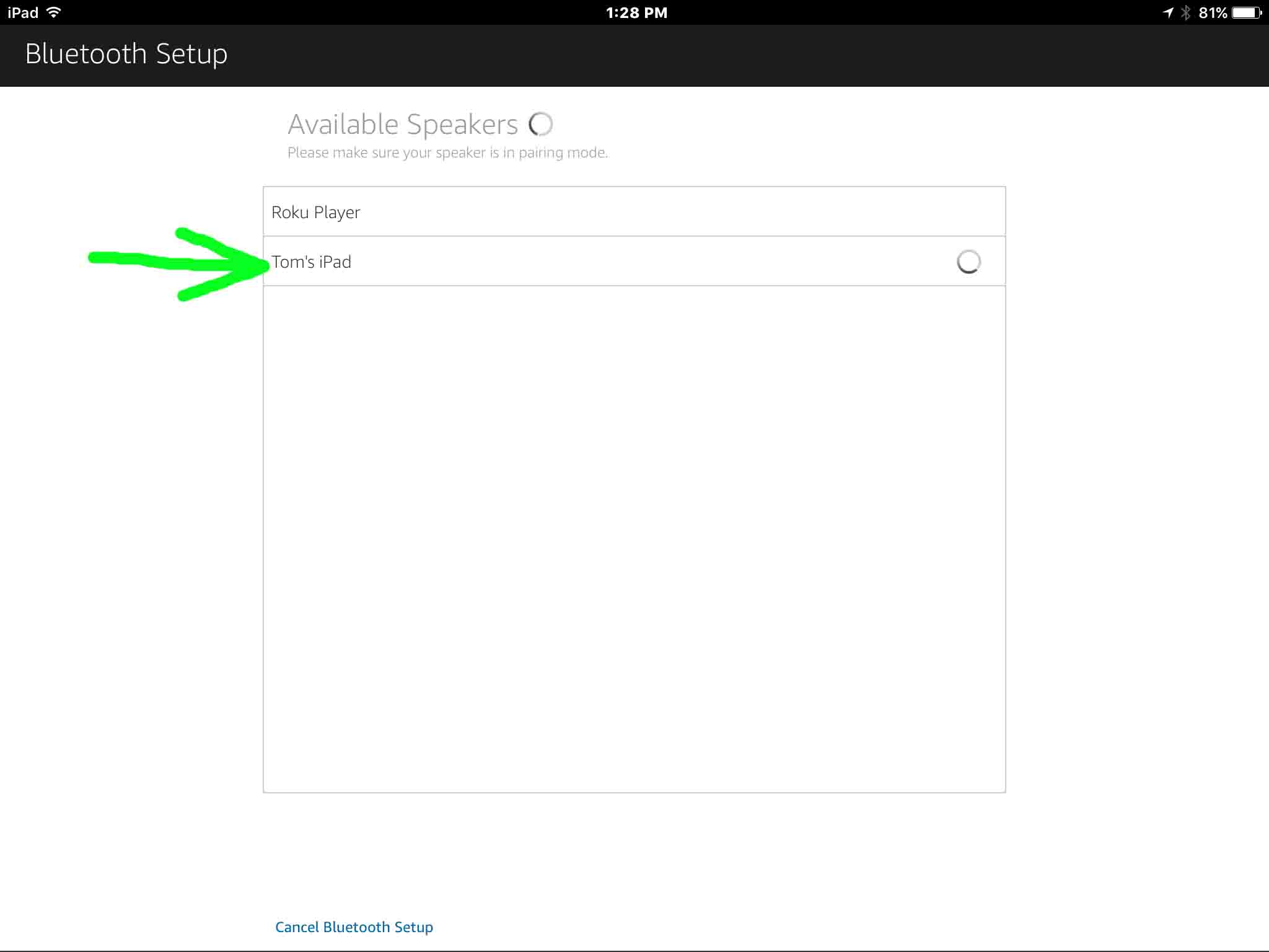 ipad alexa bluetooth