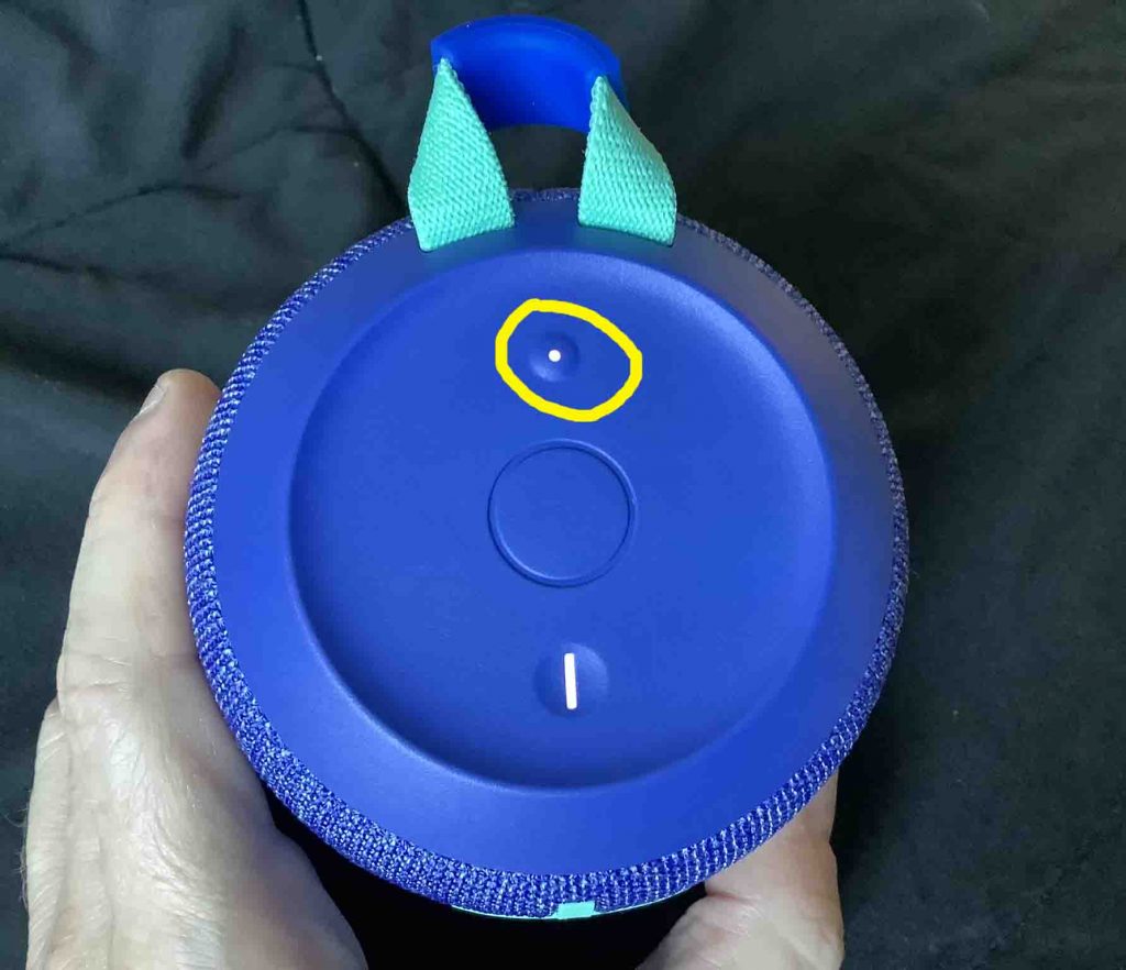 How to Connect Ultimate Ears Speaker to iPhone - Tom's Tek Stop