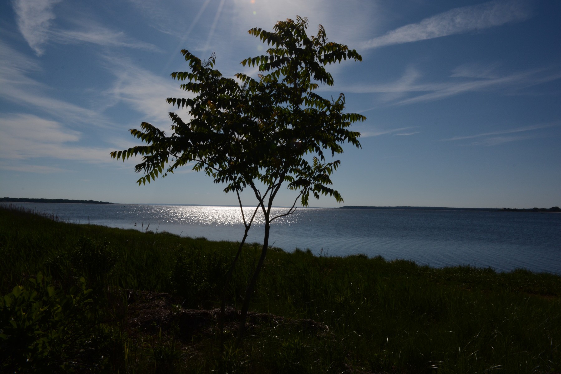 Indian Island County Park A Walk Report Tom Stock