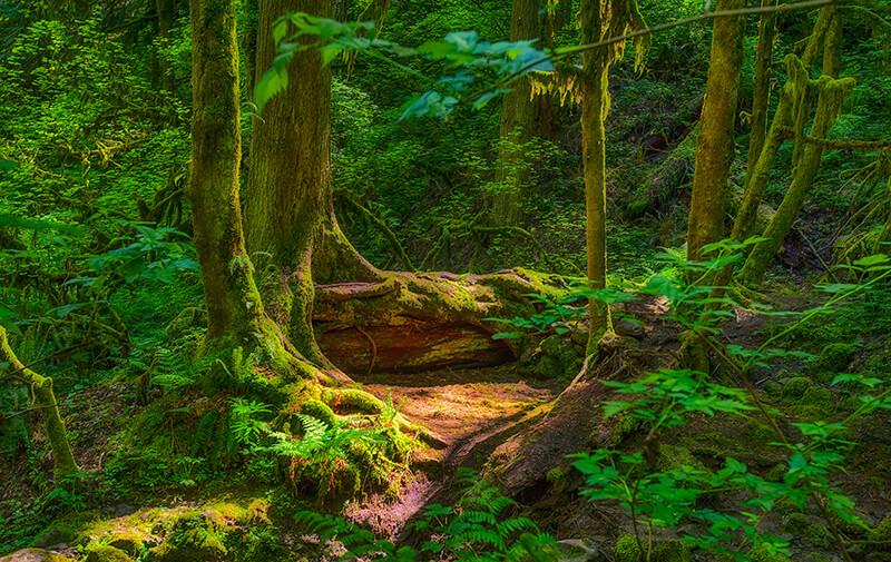 Que faire à Portland (Oregon) 40 choses à faire