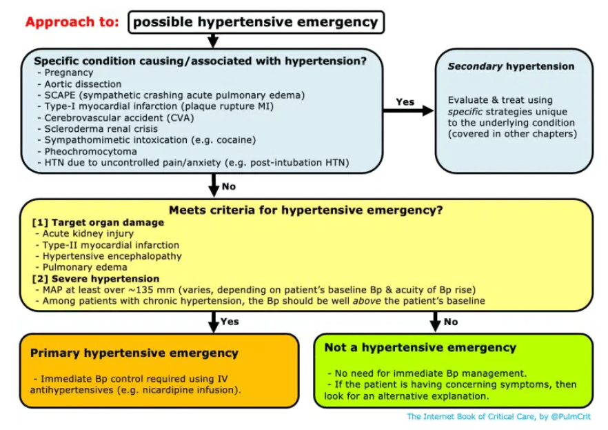 “secondary hypertension”