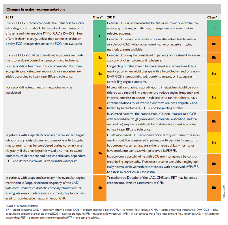 3 Patients with angina and/or dyspnoea, and suspected coronary artery