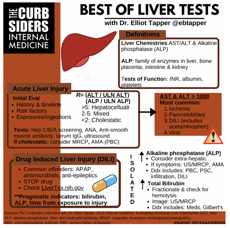 The Best of Liver Tests Notes