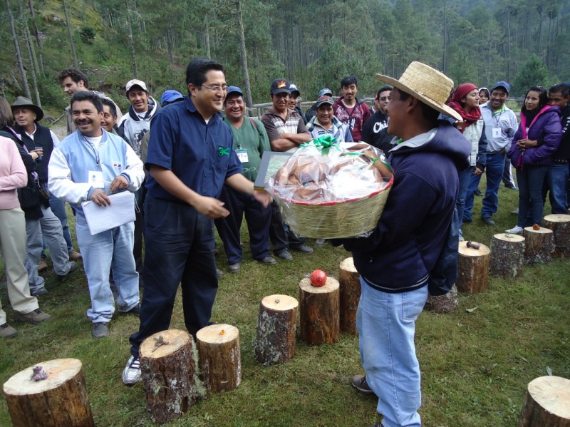 Mexico’s Magical Mushroom Tour at the Feria Regional de Hongos