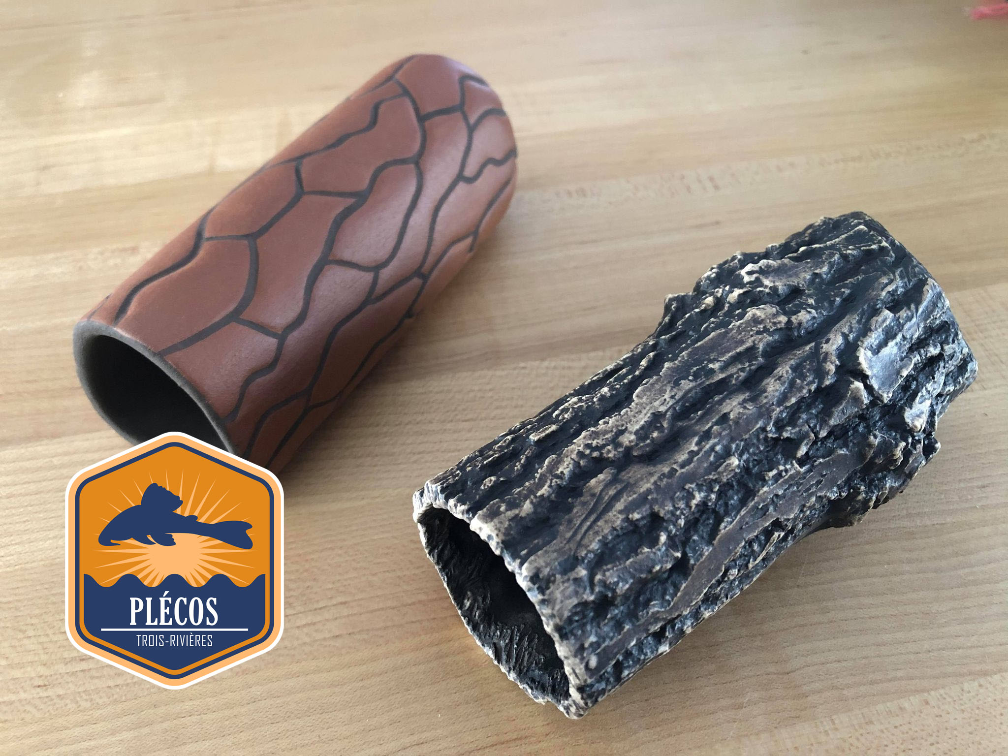 Magnifiques Pleco Caves Naturelles Blogue Ton.Fish