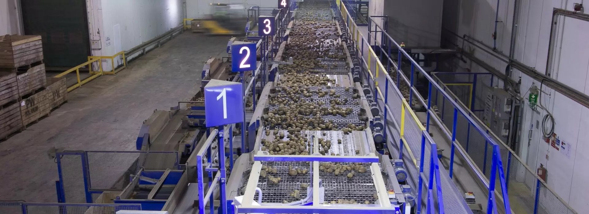 Next Generation Vegetable Grading Line Tong Engineering