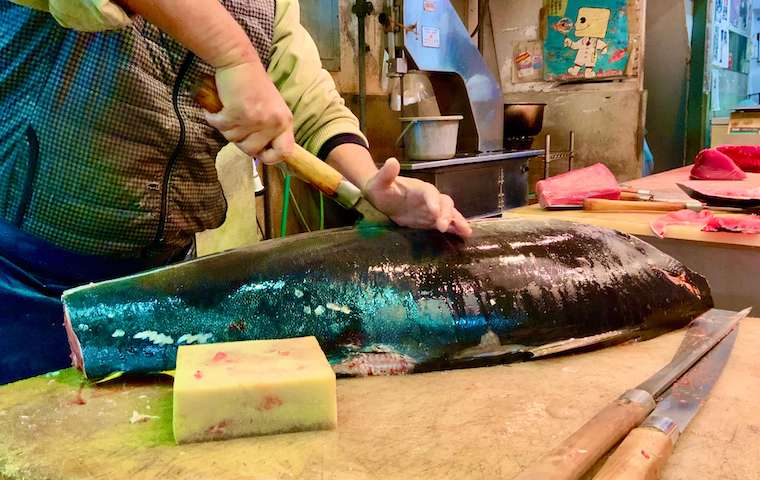 柳橋中央市場・マルナカ食品センターでの早朝グルメはここ！ NAGOYA